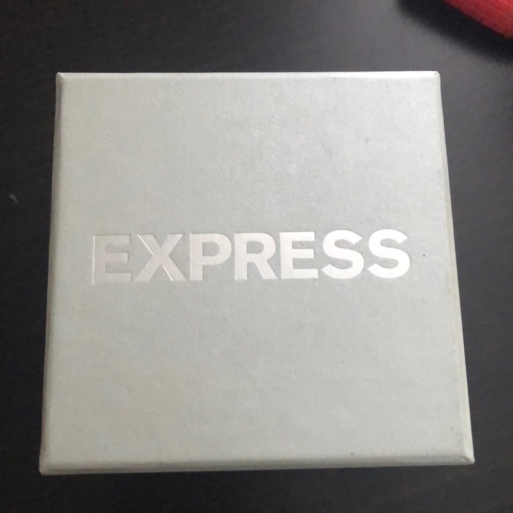 Express cheetah watch